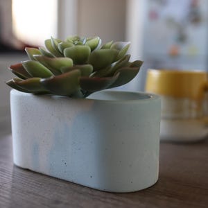 Pastel Concrete Planter – Handmade Cement Pot for Succulents, Indoor Plants, Desk Decor