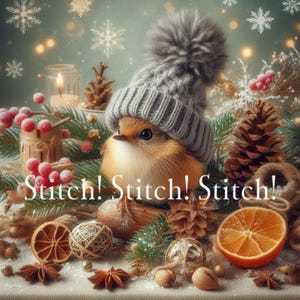 May include: A charming bird wearing a gray knit hat with a pom-pom, surrounded by winter decorations. The image includes pinecones, berries, and an orange slice. Text on the image reads "Stitch! Stitch! Stitch!"