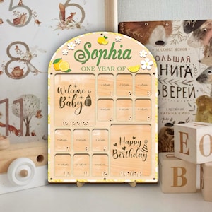 Baby Photo Frame, Baby First Year Picture Frame, Monthly Milestone Frame, Newborn Memory Keepsake, Baby Shower Gift, Birthday Gift