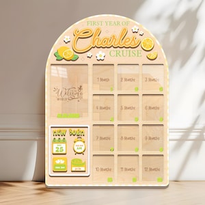 Baby First Year Picture Frame, Lemon Baby Photo Frame, Monthly Milestone Frame, Newborn Memory Keepsake, Baby Shower Gift, Birthday