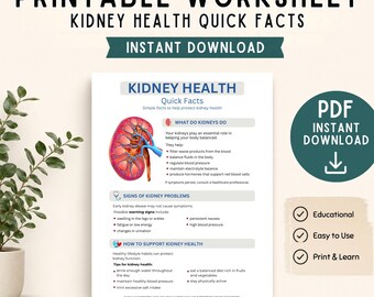 Nieren Gesundheit Arbeitsblatt zum ausdrucken, Nieren Kurz Fakten PDF, Anatomie des Menschen Gesundheitsbildung PNG, Sofort Download