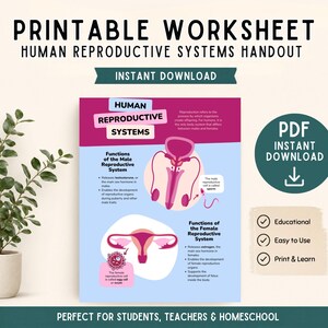 May include: Printable worksheet titled "Human Reproductive Systems Handout." The educational handout includes diagrams of male and female reproductive systems, with labels and descriptions. The PDF is available for instant download.