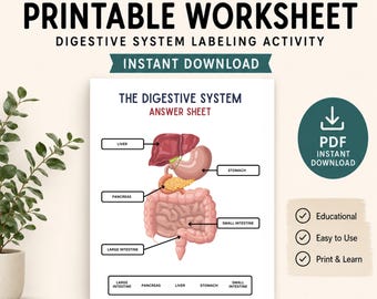 Magen-Darm-Gesundheit Quick Facts Poster Niereninsuffizienz Printable | Gesundheitsdienstleister (PTs Ressource | CKD Edukation PDF | Digitaler Download