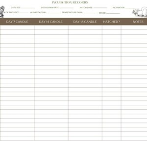 Puede incluir: Una tabla imprimible marrón y blanca para realizar un seguimiento de los registros de incubación. La tabla incluye columnas para la fecha de puesta, la fecha de cierre, la fecha de eclosión, la incubadora, el número de huevos puestos, el objetivo de humedad, el objetivo de temperatura, la raza, los huevos, la vela del día 7, la vela del día 14, la vela del día 18, eclosionados, y notas.