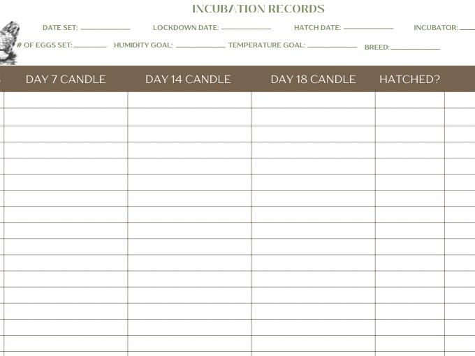Hatching Record Egg Incubation Log | Hatching Records, Temperature & Humidity (digital ...
