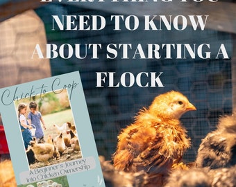 Beginner's Guide: Raising Chicks to Hens How To Tutorial Training ebook Backyard Chickens