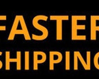 the difference in price for fast shipping-Express Shipping