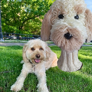May include: A handcrafted yarn-based dog head cover featuring a cream and tan curly texture, black eyes, and a dark nose, attached to a ribbed knit neck piece. The design mimics the appearance of a light-colored doodle dog breed.