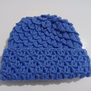 May include: A blue crocheted beanie hat with a textured pattern. The hat is made with a soft yarn and has a comfortable fit.