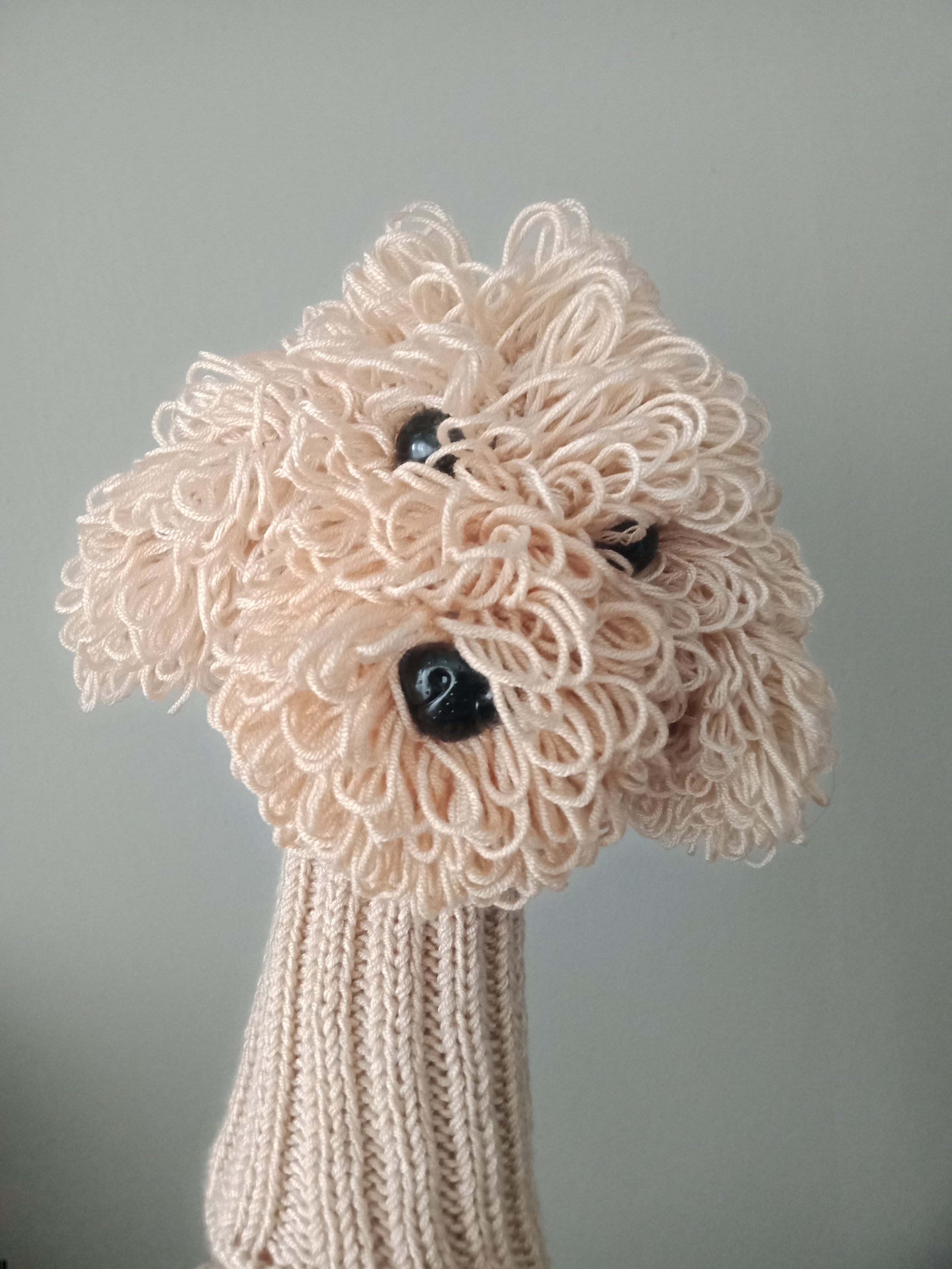 Poodle headband 2025