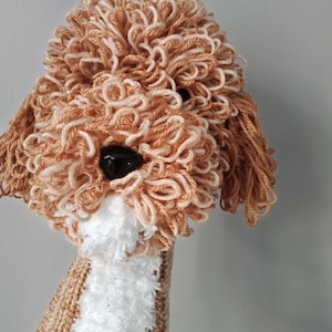 May include: A knitted dog toy with brown and white yarn. The toy is shaped like a dog's head with curly hair and a white beard.