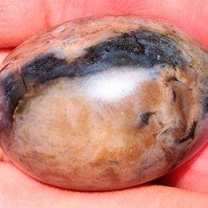 Peut inclure: Une pierre polie de forme ovale présentant un mélange de couleurs. La pierre présente un mélange de teintes marron, noires et crème, avec une surface brillante et réfléchissante. Les motifs naturels créent un aspect unique et organique. Cet objet est décoratif.