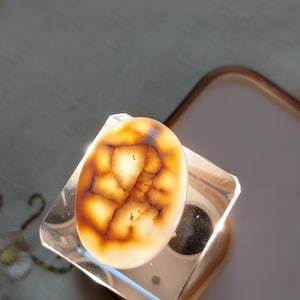 Peut inclure: Une pierre précieuse ovale polie, avec une base crème et des veines brunes complexes. La pierre est montée sur un présentoir clair et rectangulaire, mettant en valeur ses motifs et textures naturels. Un bijou unique.