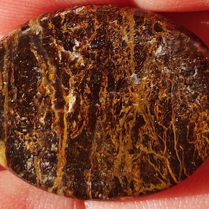 May include: Oval-shaped, polished gemstone with a rich, earthy colour palette. The stone features a blend of dark brown and golden-yellow hues, with intricate veining patterns creating a natural, textured appearance. The gemstone is likely a decorative element.