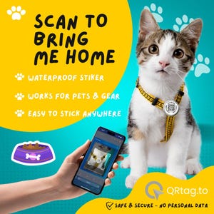 Puede incluir: Un gato con un arnés amarillo y negro con una etiqueta de código QR. La imagen incluye el texto "SCAN TO BRING ME HOME" y "WATERPROOF STIKER". Un teléfono inteligente muestra el código QR. El fondo es turquesa y amarillo.