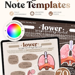 Puede incluir: Plantillas de notas digitales para una clase de anatomía humana sobre el tracto respiratorio inferior. El diseño incluye un fondo de cuadrícula, cuadros de texto e ilustraciones de la tráquea, bronquios, alvéolos y diafragma con etiquetas.