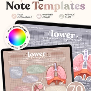 Könnte beinhalten: Digitale Notizvorlagen auf zwei Tablets mit Inhalten zum menschlichen Anatomieunterricht über die unteren Atemwege. Die Bildschirme zeigen einen karierten Hintergrund, Text sowie Illustrationen von Lunge, Bronchien, Alveolen und Zwerchfell.