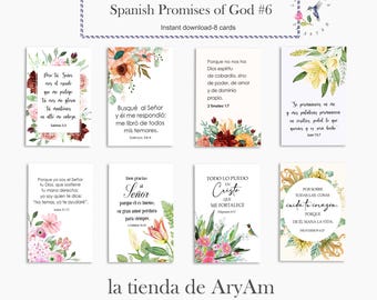 May include: A set of eight Spanish-language cards with floral designs and inspirational quotes. The cards feature various colors, including pink, orange, and green, with text in a decorative font. The title "Spanish Promises of God #6" is displayed at the top.