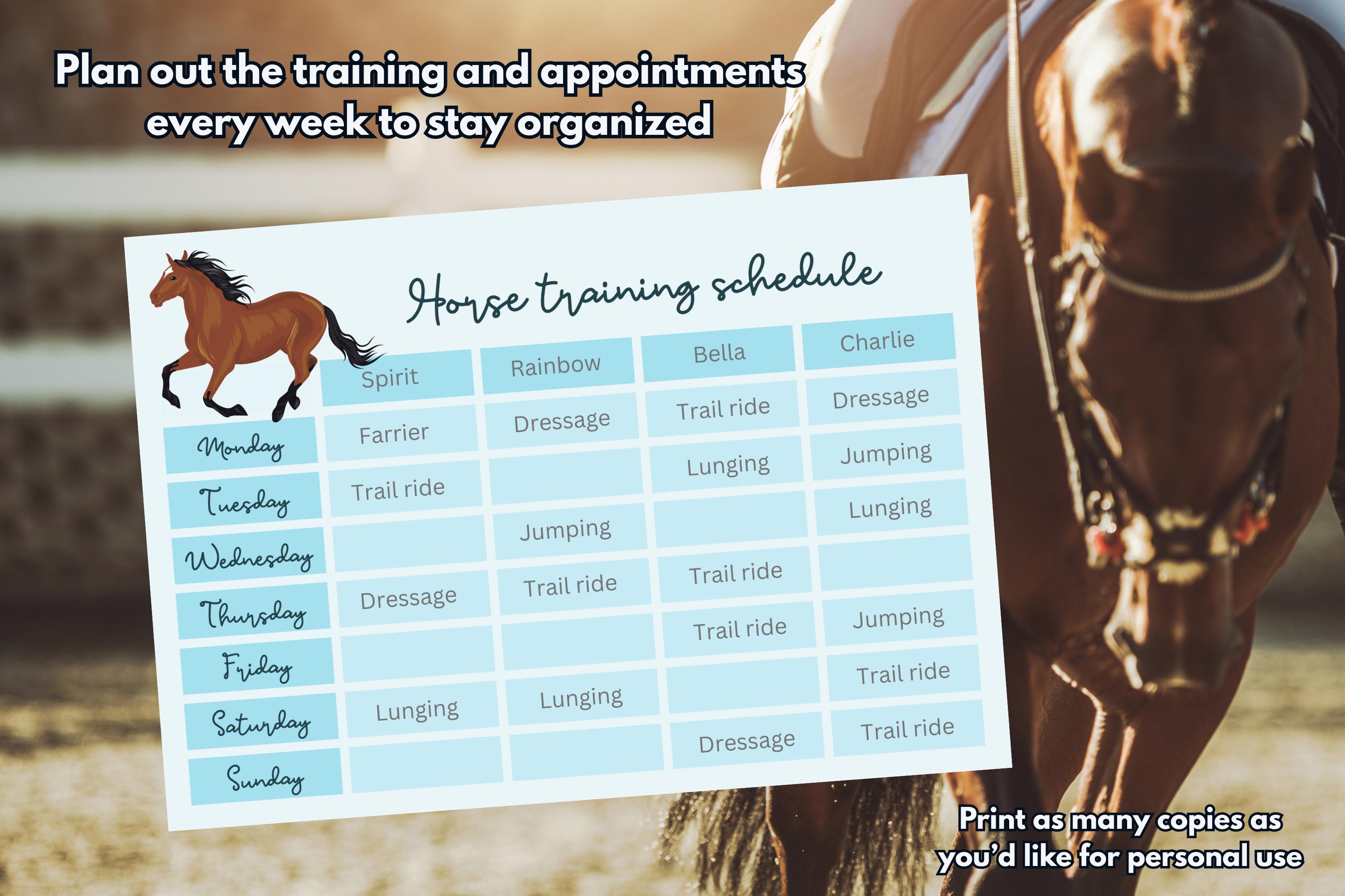 Horse Training Schedule Printable A3 A4 A5 Size Pdfs Instant Horse Training Schedule Printable A3 A4 A5 Size Pdfs Instant