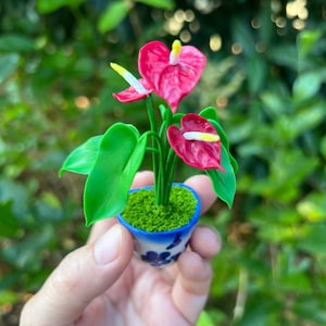 Miniature bright red anthurium in a ceramic pot with magnets.