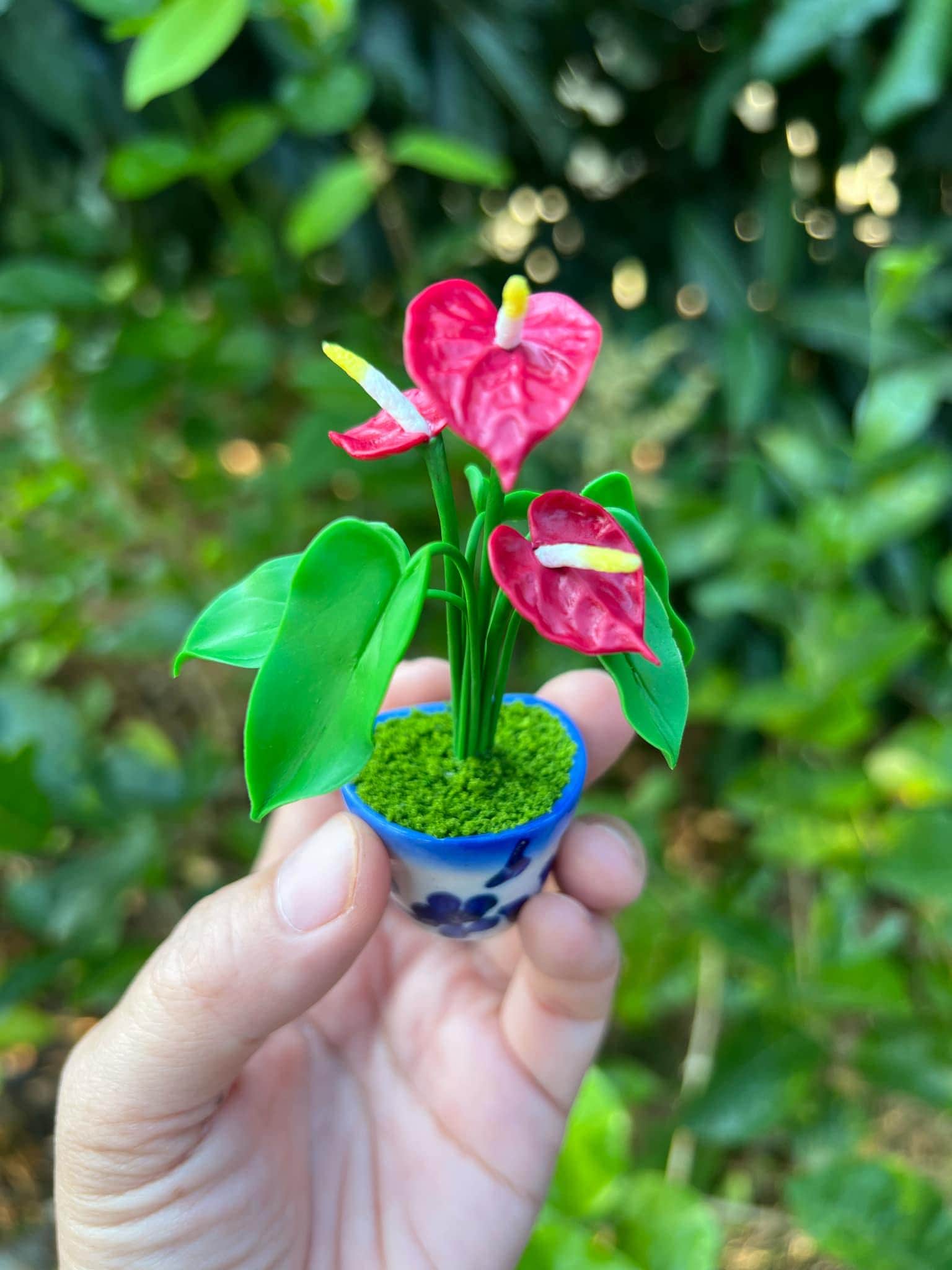 Miniature Bright Red Anthurium in a Ceramic Pot With Magnets. - Etsy