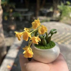 May include: A miniature ceramic pot with a small yellow flower arrangement. The flowers are a bright yellow, and the pot is white. The arrangement includes green leaves and moss. The pot is held in a hand.