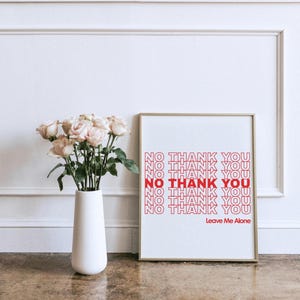 May include: A framed print with the words "NO THANK YOU" in red and white, with "Leave Me Alone" at the bottom. A white vase with pink roses sits to the left of the print.