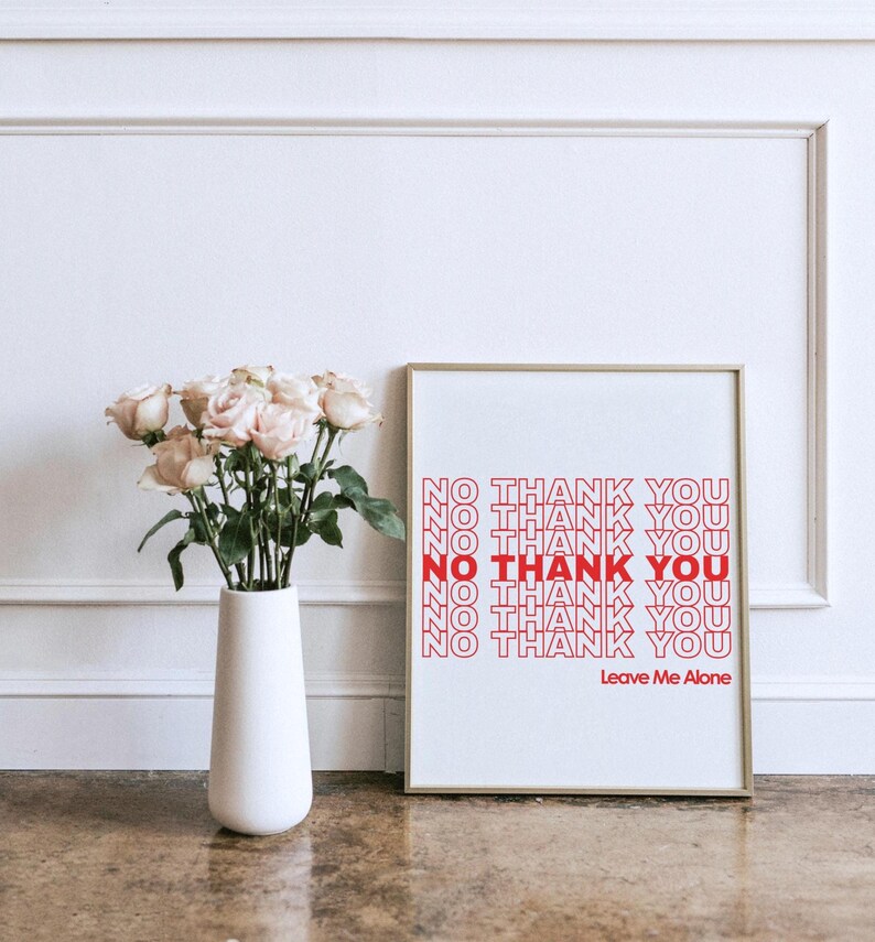 May include: A framed print with the words "NO THANK YOU" in red and white, with "Leave Me Alone" at the bottom. A white vase with pink roses sits to the left of the print.
