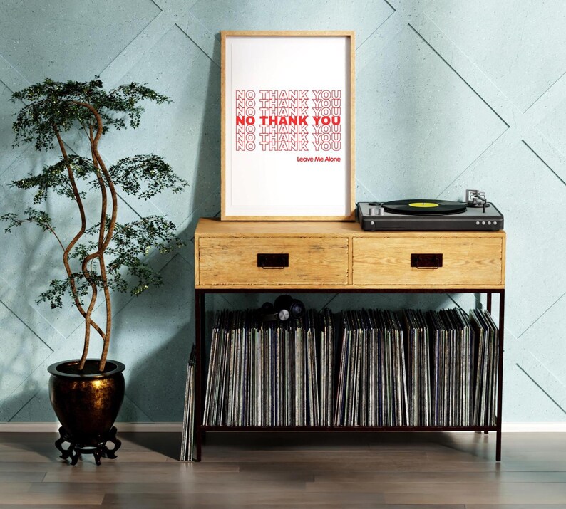 May include: A framed print with the text "NO THANK YOU" in red, displayed on a wooden console with a record player. The console also holds a collection of vinyl records. A potted bonsai tree is on the left.