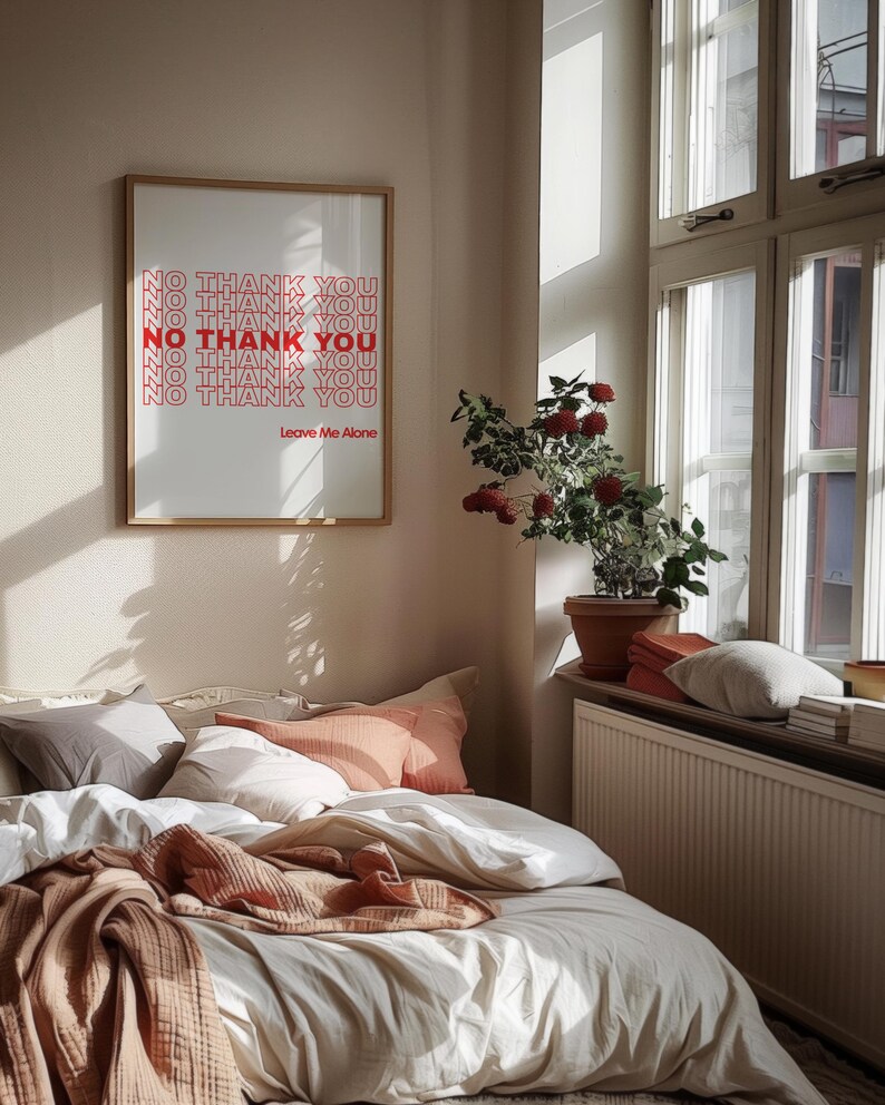 May include: A bedroom scene featuring a bed with white bedding, peach and gray pillows, and a brown blanket. A framed print on the wall reads "NO THANK YOU" in red text. A plant in a terracotta pot sits on the windowsill.