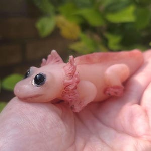 May include: A small, pale pink axolotl figurine with a smooth, semi-translucent texture. The creature features prominent, feathery external gills on both sides of its head, small limbs, and two large, glossy black eyes set on its rounded face.