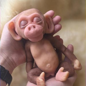 May include: A small, sculpted monkey figurine with a smooth, light brown and tan complexion. The figure features closed eyes, prominent ears, a rounded belly with a visible navel, and articulated limbs, capturing a sleeping, infant-like pose.