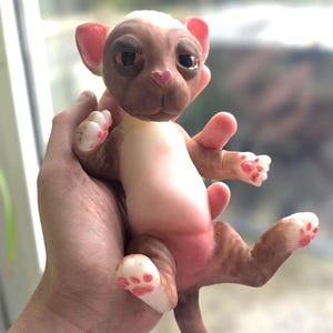 OOAK Silicone Brown Sleeping Kitten / Cat - Fullbody Soft blend platinum silicone, realistic lifelike Feline sculpture, collectable art doll