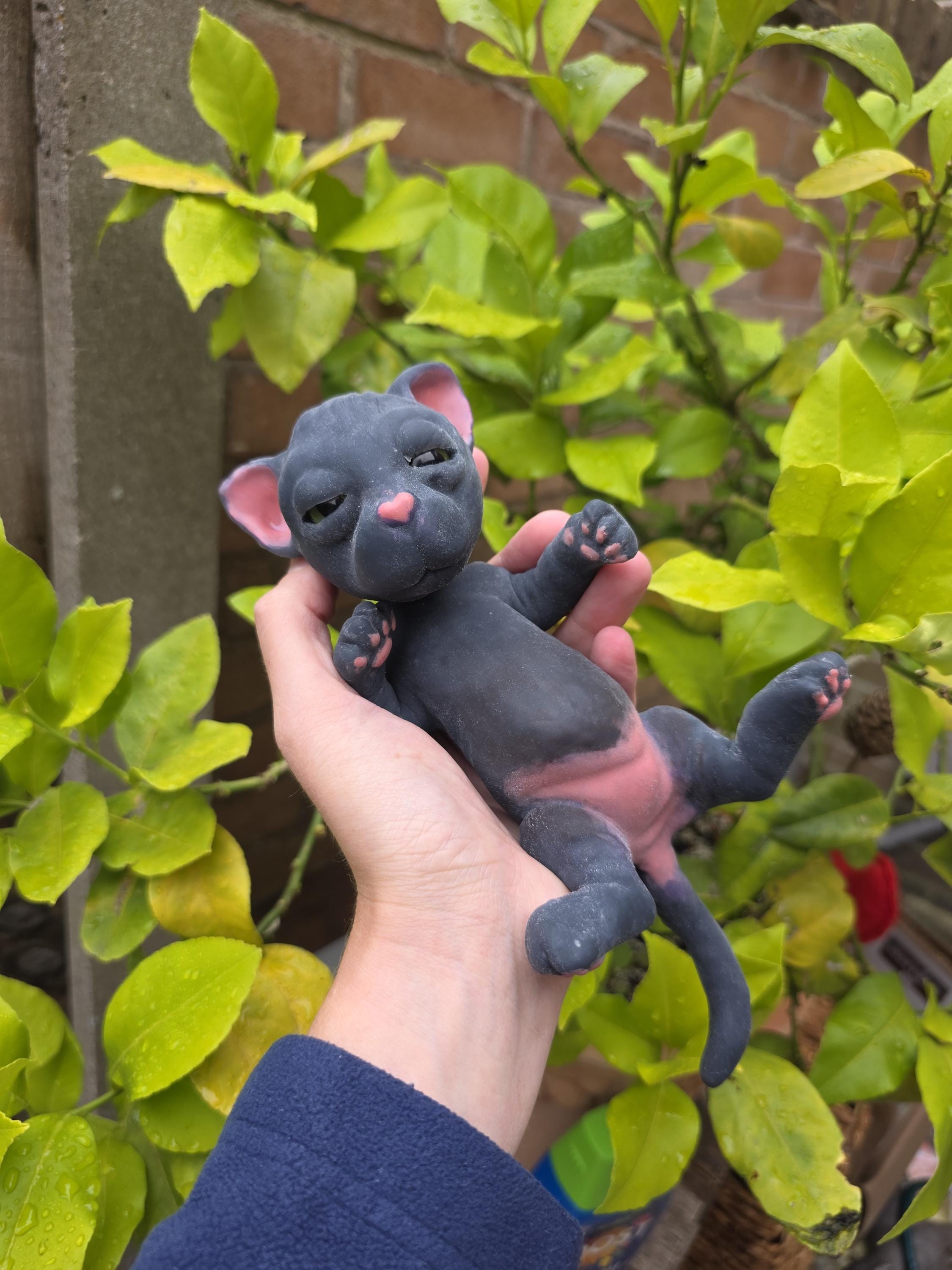 Reborn cat - Etsy 日本