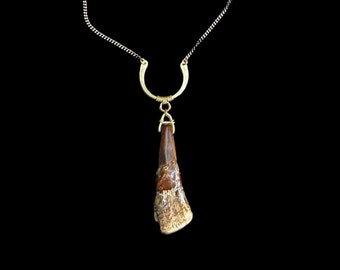 Half Moon Brown BUFFAL0 T00TH Amulet