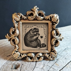 Raccoon Print in Baroque Frame: Vintage Style Mini Art
