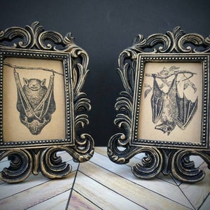 Impression de chauve-souris vintage dans un cadre baroque - Impression encadrée fantasmagorique antique suspendue
