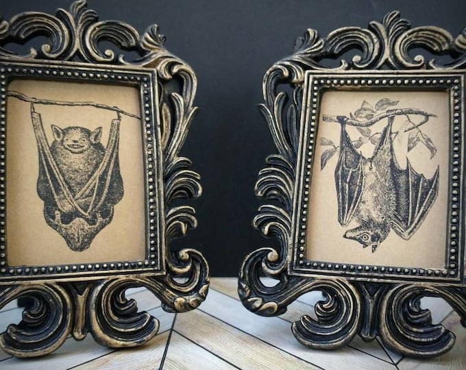 Vintage Bat Print in Baroque Frame - Antique Hanging Spooky Framed Print