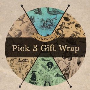 Vintage Gift Wrap PICK 3 -  Alchemy, Animal Bones, Vintage Science, Possums, Frogs, Spooky Fairytales