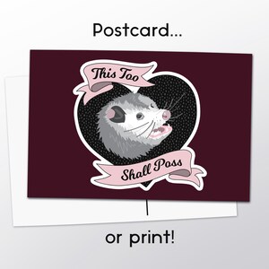 Wise Possum Card / Print - Funny Opossum Gift Postcard / Wall Art