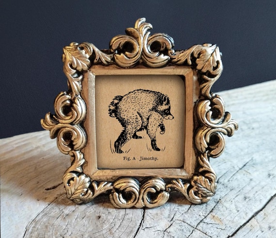 Jimothy Raccoon Print - Vintage-Style Raccoon Art in Gold Frame (V2)