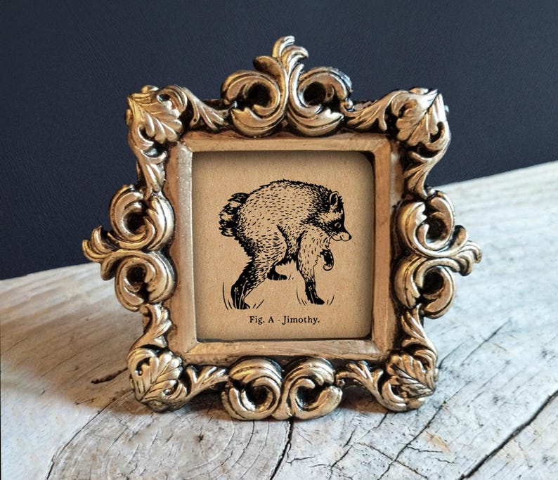 May include: A square picture frame with an ornate, metallic gold-toned border featuring intricate leaf and scroll carvings. Inside, a beige print displays a black ink illustration of a creature labeled with the text, Fig. A - Jimothy.