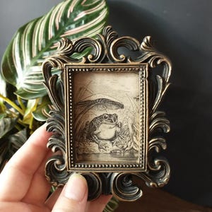 Happy Frog Print: Whimsical Vintage Frog & Toadstool Framed Art