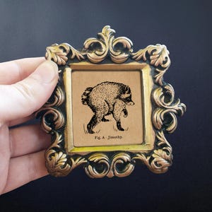 May include: A small square picture frame with an ornate, dark metallic gold finish featuring scrollwork details. Inside, a tan-colored print displays a black ink illustration of a furry creature and the text, Fig. A - Jimothy.