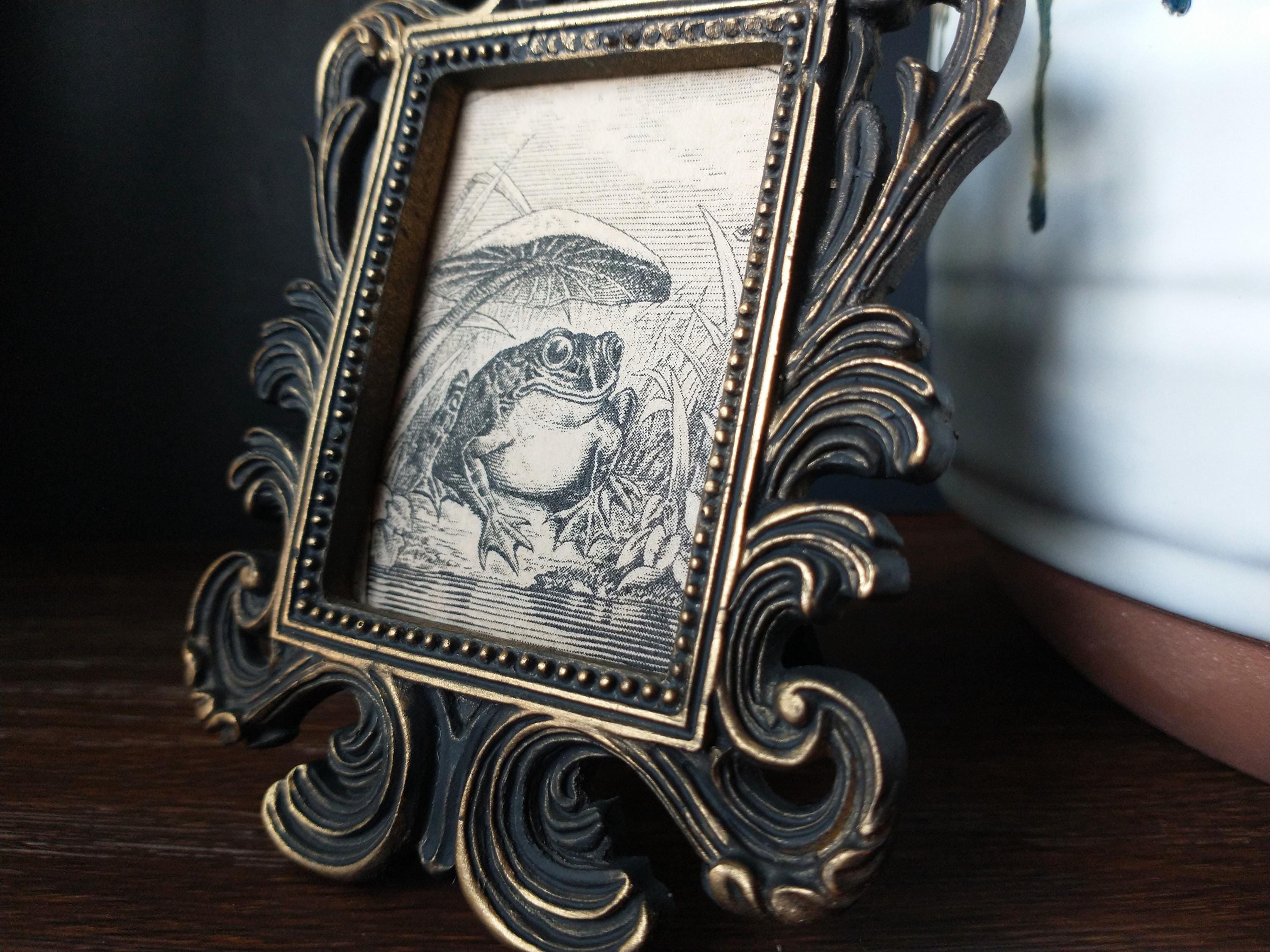 Vintage Happy Frog Print in Baroque Frame - Antique Funny Frog Art Framed In Rectangular Scrollwork Frame
