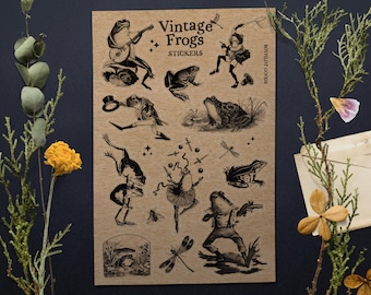 Adesivi vintage con rane: antiche illustrazioni di graziosi anfibi su carta kraft