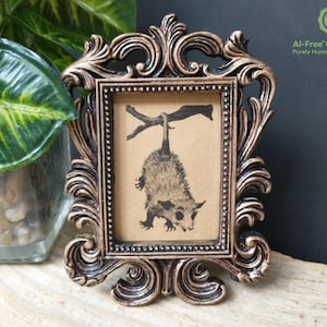 Vintage Possum Print in Baroque Frame - Vintage Baby Opossum Art Framed Fancy Scrollwork Frame