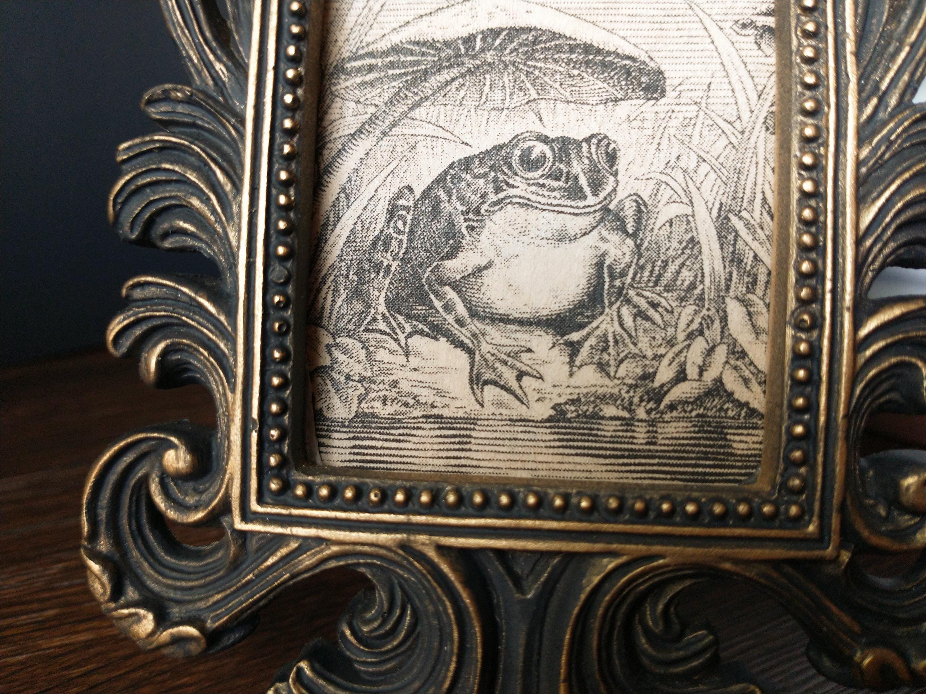 Vintage Happy Frog Print in Baroque Frame - Antique Funny Frog Art Framed In Rectangular Scrollwork Frame