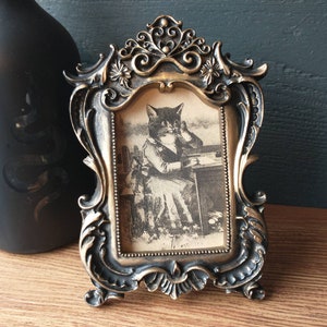 Vintage Cat Illustration in Baroque Frame - Antique Art in Fancy Frame Curio