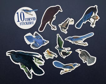 Crow & Jay Stickers - Corvid Bird Paper Sticker Set - Hand-Cut Vintage Audubon - Raven, Magpie
